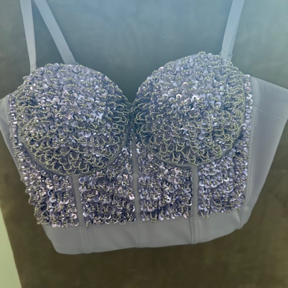 Brand new without tag sequin purple and seed bead bustier.  NWOT